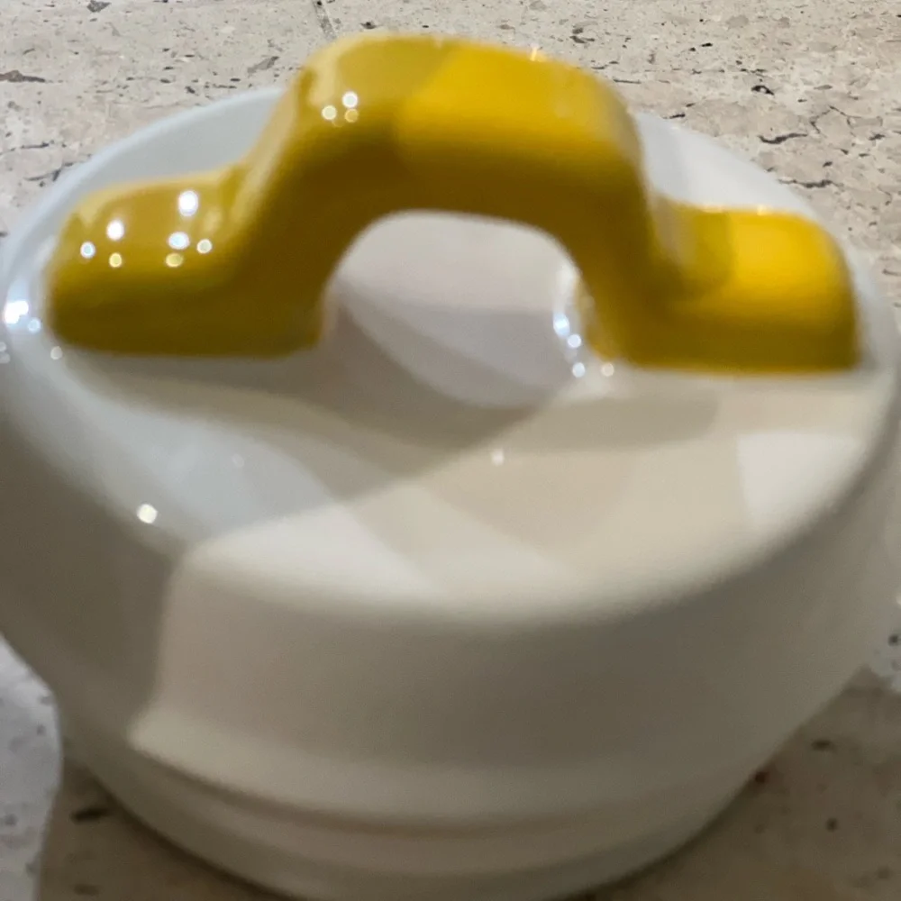 Rae Dunn “Queen Bee” Artisan Collection Canister with Yellow Handled Lid